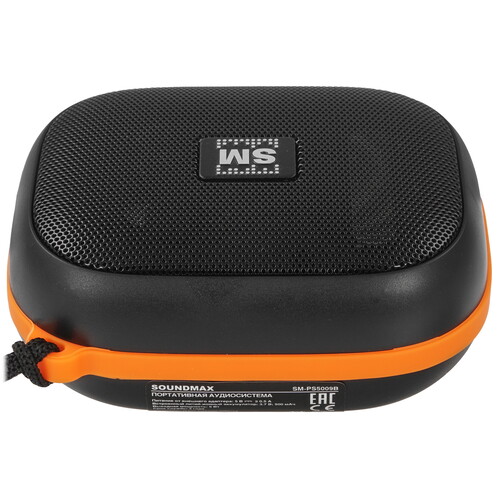 Купить Портативная колонка Soundmax SM-PS5009B, черный  9094731. Характеристики, отзывы и цены в Донецке