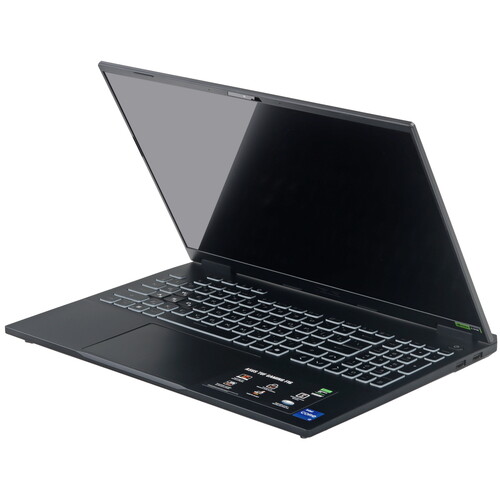 Купить 16" Ноутбук ASUS TUF Gaming FX608JPR-QT033 серый  5634744. Характеристики, отзывы и цены в Донецке