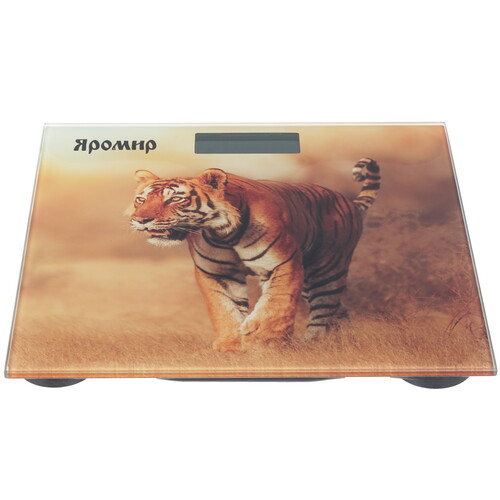 Купить Весы Яромир ЯР-4201 разноцветный  8128868. Характеристики, отзывы и цены в Донецке