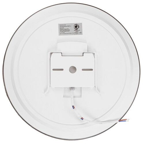 Купить Светильник потолочный Ambrella Light FZ2004 BK белый/черный  5620847. Характеристики, отзывы и цены в Донецке