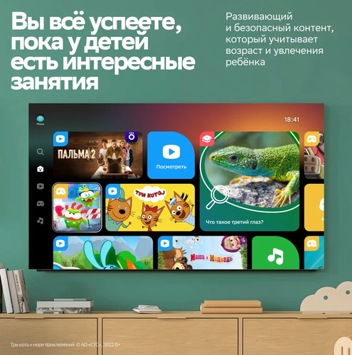 Купить 43" (109 см) Телевизор Sber SDX-43F3111 черный  9300213. Характеристики, отзывы и цены в Донецке