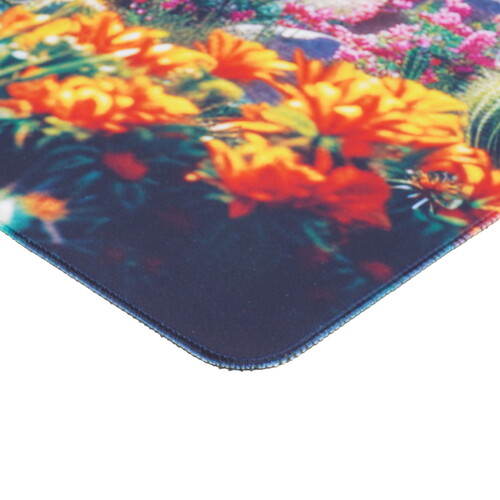 Купить Коврик Cactus Desert landscape (2XL) разноцветный  9289048. Характеристики, отзывы и цены в Донецке