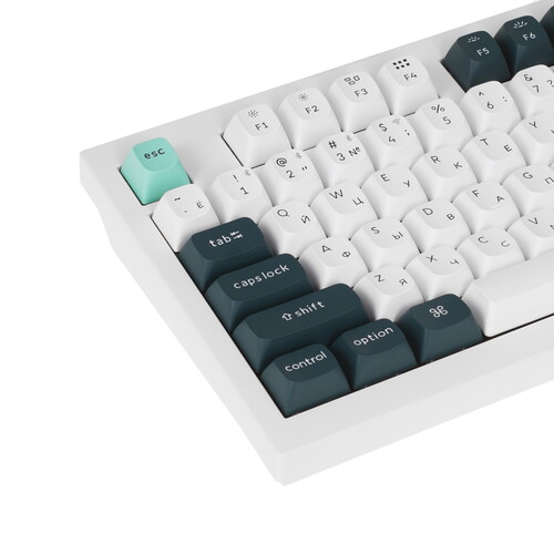 Купить Клавиатура  проводная + беспроводная Keychron Q5 HE  9307539. Характеристики, отзывы и цены в Донецке