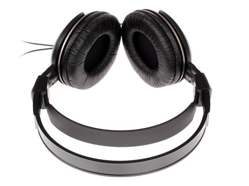 Купить Проводные наушники Audio-Technica ATH-AVC200 черный  1073273. Характеристики, отзывы и цены в Донецке