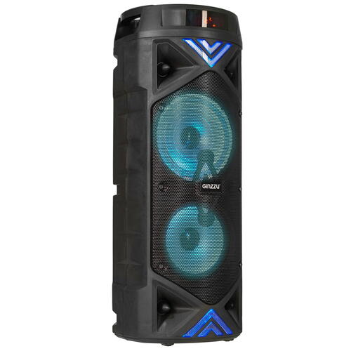 Купить Портативная аудиосистема GINZZU GM-209, черный  8191075. Характеристики, отзывы и цены в Донецке