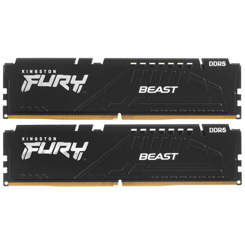 Купить Оперативная память Kingston FURY Beast Black [KF556C36BBEK2-32] 32 ГБ  5074966. Характеристики, отзывы и цены в Донецке