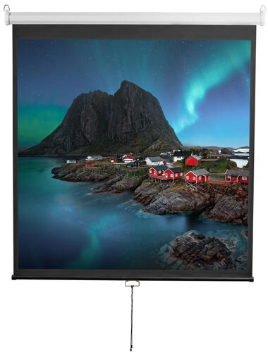 Купить 112" Экран для проектора Digis Optimal-D DSOD-1105  1626402. Характеристики, отзывы и цены в Донецке