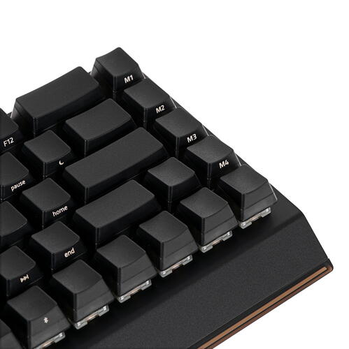 Купить Клавиатура проводная + беспроводная Razer BlackWidow V3 Mini HyperSpeed - Phantom Edition [RZ03-03892000-R3M1]  9908250. Характеристики, отзывы и цены в Донецке