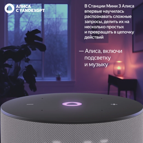 Купить Умная колонка Яндекс Станция Мини 3 серый  5603354. Характеристики, отзывы и цены в Донецке