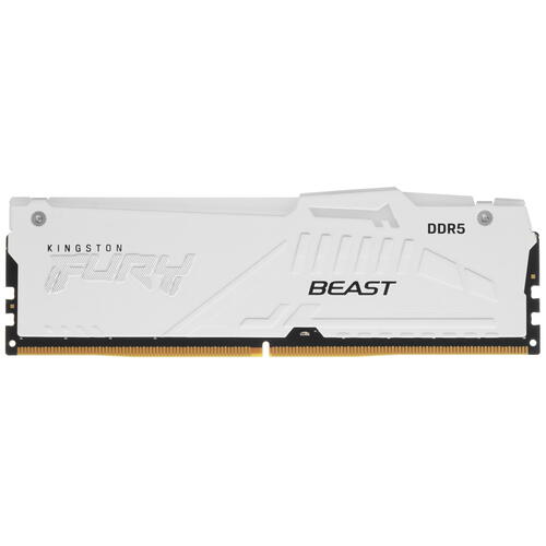 Купить Оперативная память Kingston FURY Beast White RGB [KF560C40BWA-32] 32 ГБ  5406886. Характеристики, отзывы и цены в Донецке