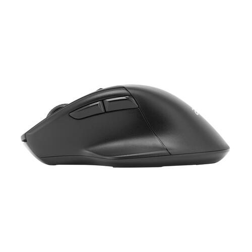 Купить Мышь беспроводная Acer OMR170 [ZL.MCEEE.00N] черный  5016802. Характеристики, отзывы и цены в Донецке