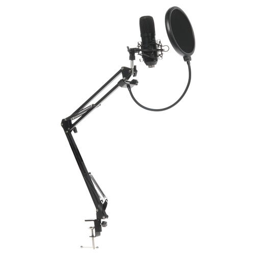 Купить Микрофонный комплект Ritmix RDM-169 черный  1624929. Характеристики, отзывы и цены в Донецке