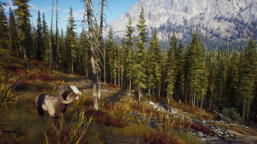 Купить Игра Way of the Hunter Elite Edition (Steam)  5484584. Характеристики, отзывы и цены в Донецке