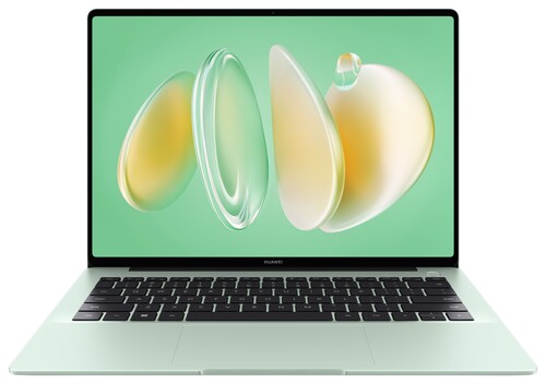 Купить 14.2" Ноутбук HUAWEI MateBook 14 FLMH-X зеленый  5460094. Характеристики, отзывы и цены в Донецке