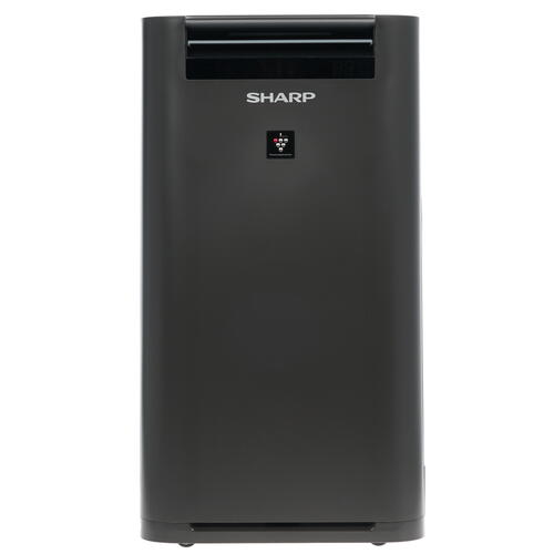 Купить Климатический комплекс Sharp KCG41RH черный  1168469. Характеристики, отзывы и цены в Донецке
