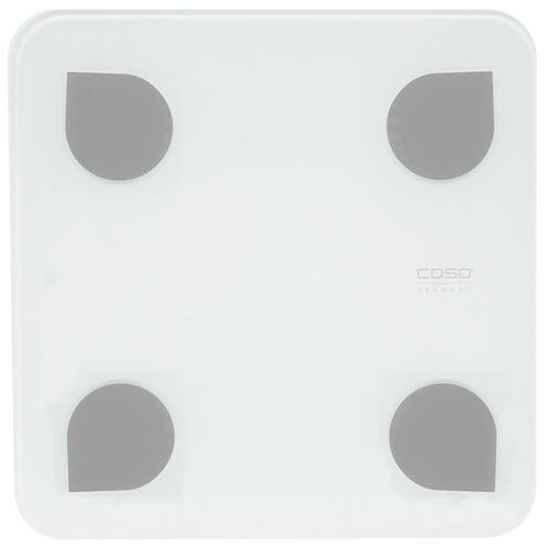 Купить Весы Caso BF 4 белый  1104702. Характеристики, отзывы и цены в Донецке