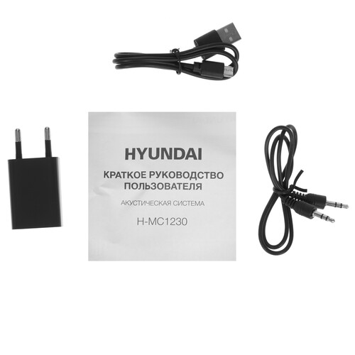Купить Портативная аудиосистема Hyundai H-MC1230, черный  5403477. Характеристики, отзывы и цены в Донецке