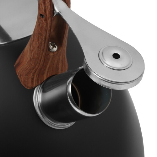 Купить Чайник для плиты Master House Marco 75332 черный  5451867. Характеристики, отзывы и цены в Донецке