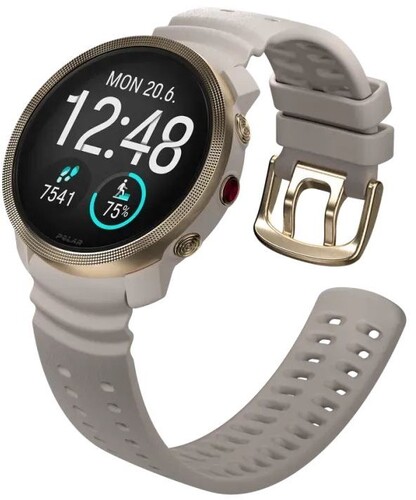 Купить Спортивные часы Polar Vantage M3  5641972. Характеристики, отзывы и цены в Донецке