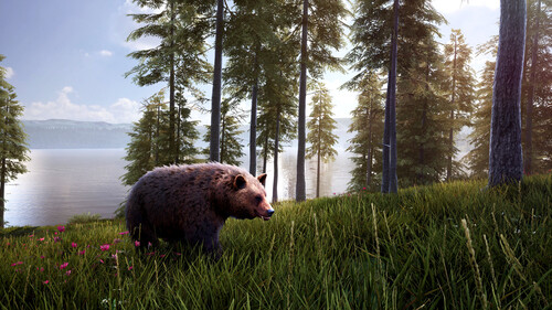 Купить Дополнение для игры Hunting Simulator 2: Bear Hunter Pack (Steam)  5622355. Характеристики, отзывы и цены в Донецке