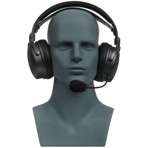 Купить Беспроводные/проводные наушники Audeze Maxwell черный 2023  5609139. Характеристики, отзывы и цены в Донецке
