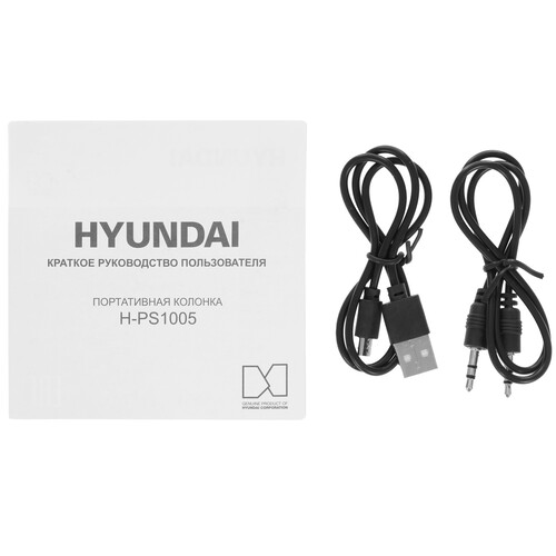 Купить Портативная колонка Hyundai H-PS1005, черный  5423618. Характеристики, отзывы и цены в Донецке