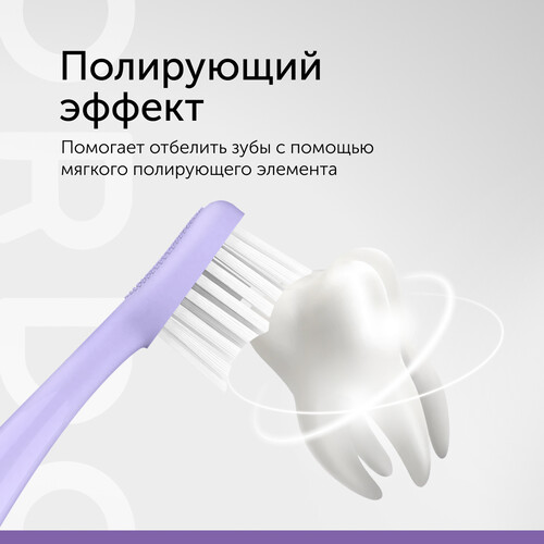 Купить Электрическая зубная щетка Ordo Sonic+ SP2000-PV фиолетовый  9132067. Характеристики, отзывы и цены в Донецке