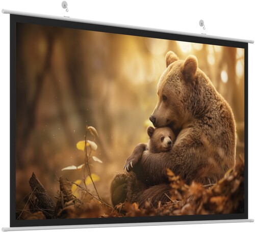 Купить 150" Экран для проектора HIPER CINEMA SWT 16X9-150  5476511. Характеристики, отзывы и цены в Донецке