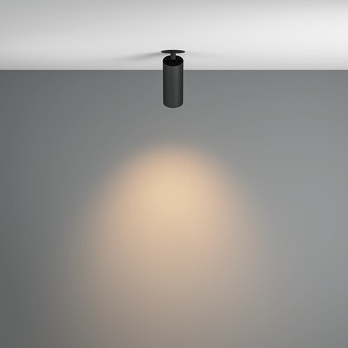 Купить Светильник потолочный Technical C053CL-L12W3K-W-B черный/черный  9143033. Характеристики, отзывы и цены в Донецке