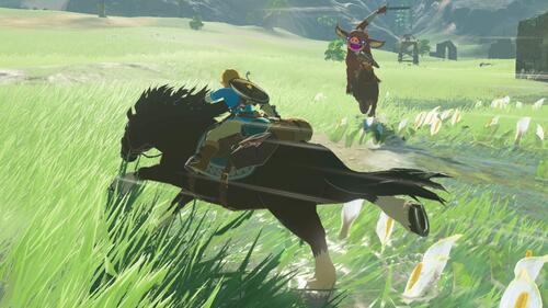 Купить Игра The Legend of Zelda: Breath of the Wild (Switch)  1345792. Характеристики, отзывы и цены в Донецке