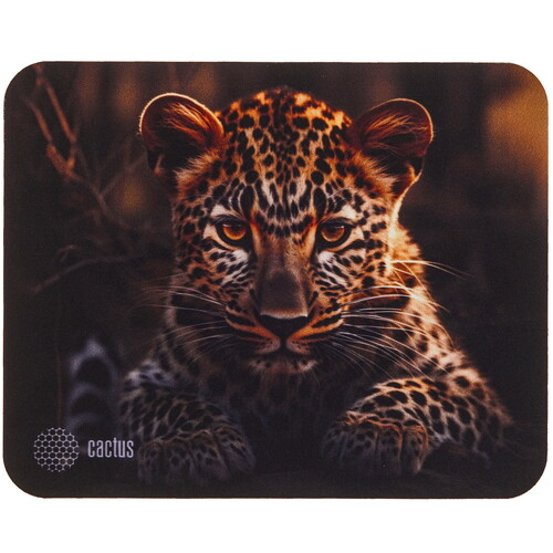 Купить Коврик Cactus CS-MP-D06S  разноцветный  9093682. Характеристики, отзывы и цены в Донецке