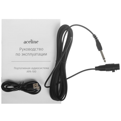 Купить Портативная аудиосистема Aceline APA-100, черный  9266823. Характеристики, отзывы и цены в Донецке