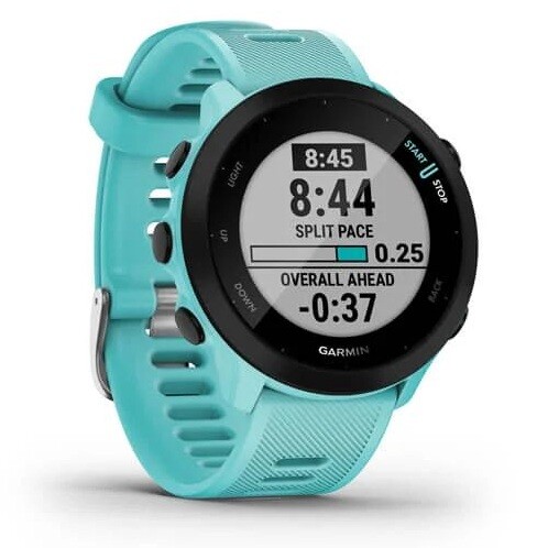 Купить Спортивные часы Garmin Forerunner 55  5085010. Характеристики, отзывы и цены в Донецке