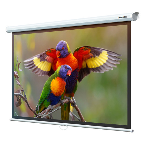 Купить 97" Экран для проектора Lumien Eco Picture LEP-100113  1677192. Характеристики, отзывы и цены в Донецке