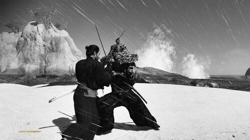 Купить Игра Ghost of Tsushima Director's Cut (Версия для РФ) (Steam)  5467644. Характеристики, отзывы и цены в Донецке