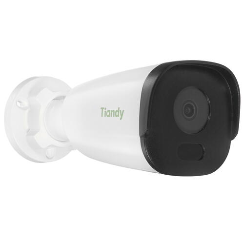 Купить IP-камера Tiandy TC-C32GP  8198851. Характеристики, отзывы и цены в Донецке