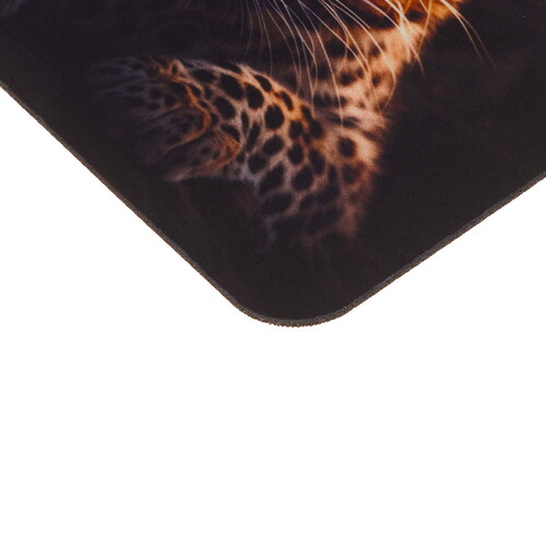 Купить Коврик Cactus CS-MP-D06S  разноцветный  9093682. Характеристики, отзывы и цены в Донецке