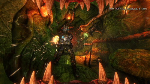 Купить Игра Natural Selection 2 (Steam)  5601569. Характеристики, отзывы и цены в Донецке