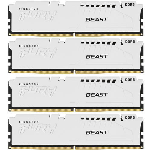 Купить Оперативная память Kingston FURY Beast White [KF560C40BWK4-64] 64 ГБ  5436436. Характеристики, отзывы и цены в Донецке