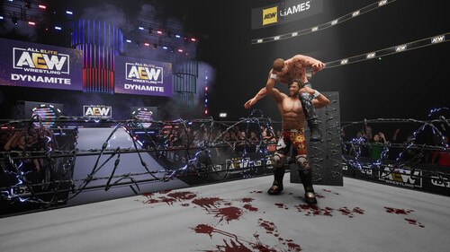 Купить Игра AEW: Fight Forever (Steam)  5484419. Характеристики, отзывы и цены в Донецке