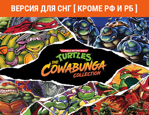 Купить Игра Teenage Mutant Ninja Turtles: The Cowabunga Collection (Steam)  5610606. Характеристики, отзывы и цены в Донецке
