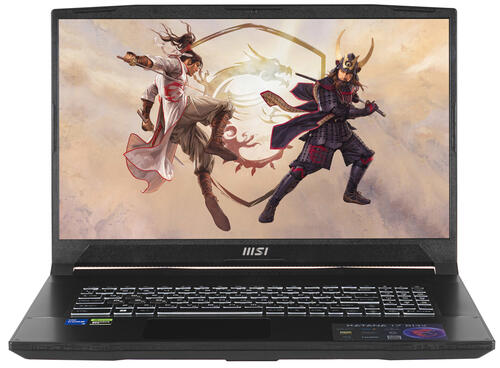 Купить 17.3" Ноутбук MSI Katana 17 B13VFK-470XRU черный  5404338. Характеристики, отзывы и цены в Донецке