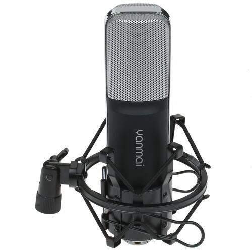 Купить Микрофон Yanmai Q8 черный  1192184. Характеристики, отзывы и цены в Донецке