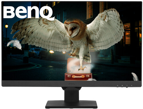 Купить 23.8" Монитор BenQ GW2490 черный  5480526. Характеристики, отзывы и цены в Донецке