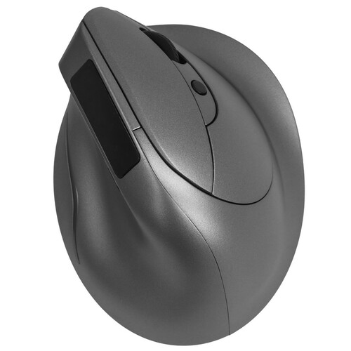 Купить Мышь беспроводная Zelotes F-26C  9235629. Характеристики, отзывы и цены в Донецке