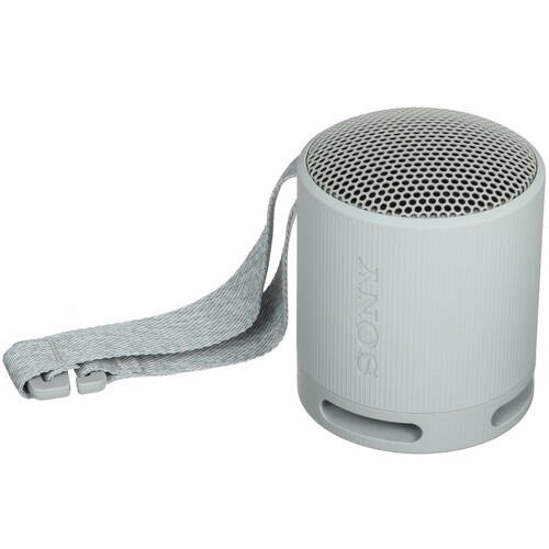 Купить Портативная колонка Sony SRS-XB100, серый  5605590. Характеристики, отзывы и цены в Донецке