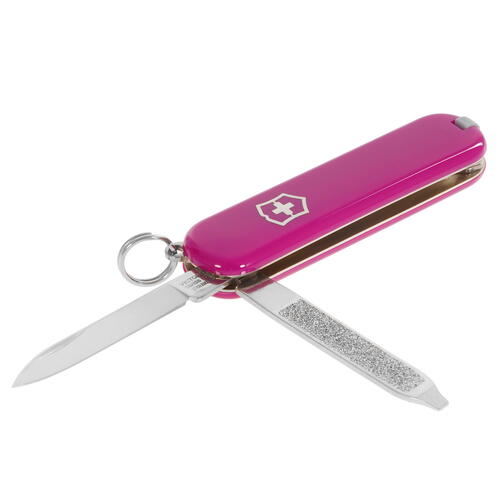 Купить Швейцарский нож Victorinox Classic SD Colors Tasty Grape  9011948. Характеристики, отзывы и цены в Донецке