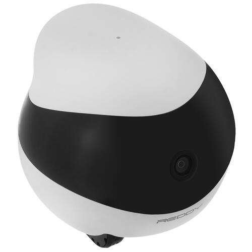 Купить Умный робот-друг REDDY SE  5412856. Характеристики, отзывы и цены в Донецке