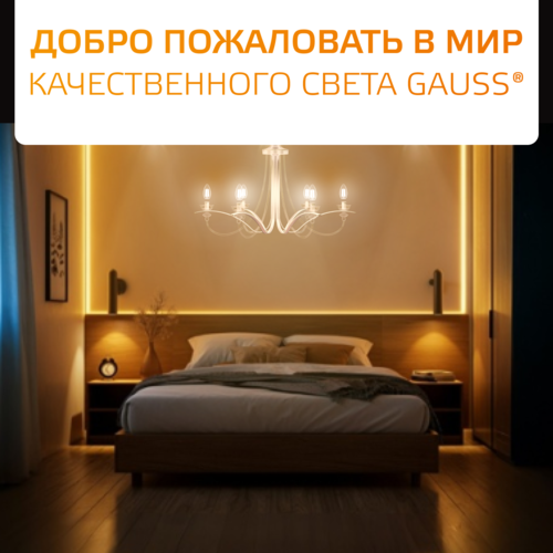 Купить Комплект филаментных ламп Gauss Filament Elementary 52218  5613134. Характеристики, отзывы и цены в Донецке