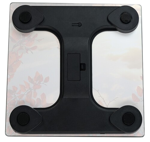 Купить Весы Marta MT-1609 разноцветный  5354744. Характеристики, отзывы и цены в Донецке